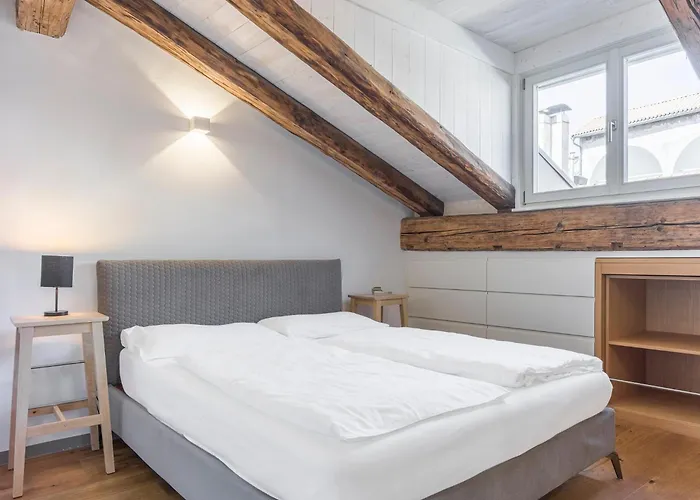 Cooper L Laubenhaus 公寓 博尔扎诺